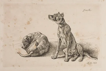 Guerrilha, dois cães
