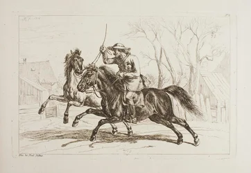 Húngaro a cavalo