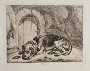 O Cão Legere