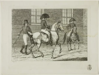 Escola de equitação e cavalos