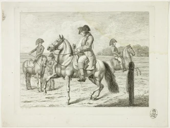 Escola de equitação e cavalos
