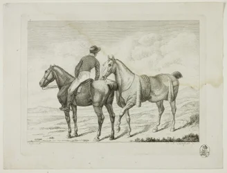 Escola de equitação e cavalos