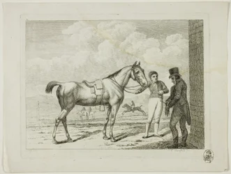 Escola de equitação e cavalos