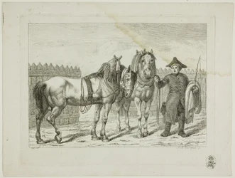 Escola de equitação e cavalos
