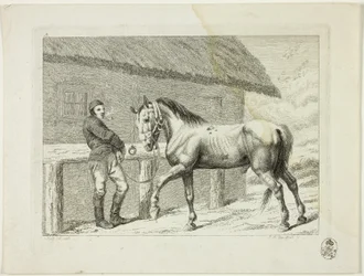 Escola de equitação e cavalos