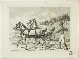 Escola de equitação e cavalos