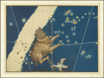 Canis Major - Johann Bayer