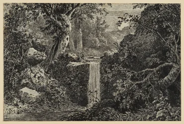 Cascata na floresta