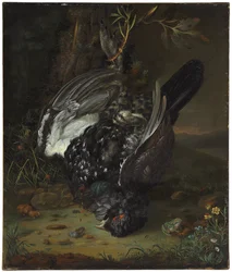 Um tetraz-lira numa paisagem arborizada, 1747