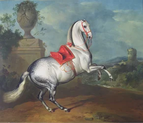 O galope cinza Dapple