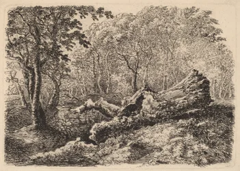 Mouldering Tree Trunk, 1794.