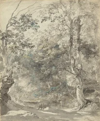 Paisagem arborizada com vacas