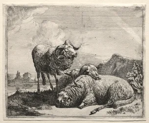 Ram e duas ovelhas, 1665.