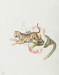 Tigre pulando de uma coroa de flores. Alegoria em sementes de flores, 1817.