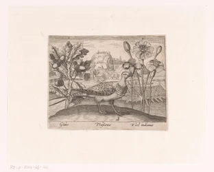 Série de Gravuras com Flores e Animais numa Paisagem
Paisagem com carvalho, faisão e crisântemos
Paisagens com animais, plantas e flores (título da série)