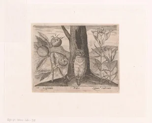 Série de gravuras com Flores e Animais numa Paisagem
Paisagem com medlar, lírio e coruja
Paisagens com animais, plantas e flores (título da série)
