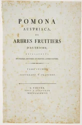 Página de título de &39;Pomona Austriaca, ou árvores frutíferas da Áustria&39;, 1787-96 (impressão)