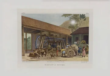 O moinho de açúcar. Da Viagem Pitoresca no Brasil, 1830-1835.
