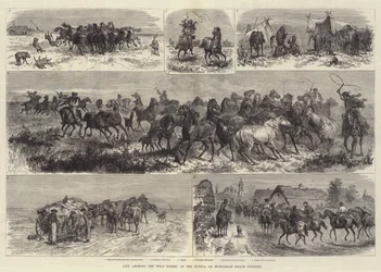 Vida entre os cavalos selvagens do Puszta, ou Heath Contry húngaro