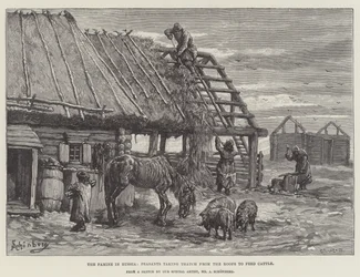 A fome na Rússia, os camponeses tomando Thatch dos telhados para alimentar gado