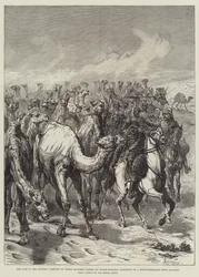 A guerra no Sudão, captura de trezentos camelos pelo major-general Sartorius em um reconhecimento de Souakim