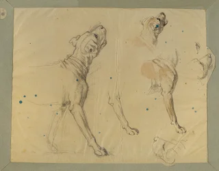 Estudo do cão para o "Homecoming of the Landwehr Man" (1820)