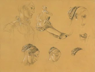 Estudo sobre "Hermann e Dorothea in the Vineyard