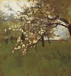Macieira em flor (óleo sobre tela)