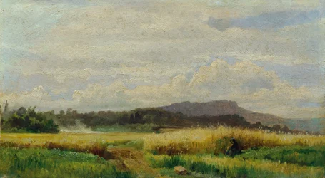 Campo de grãos com velha