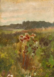 Paisagem na Baixa Áustria