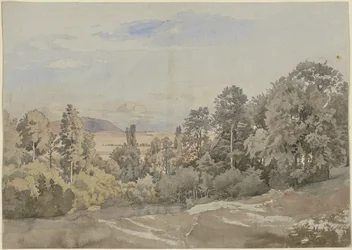 Floresta com vista ao longe