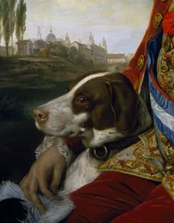 Cão, detalhe do retrato de Fernão de Bourbon, Duque de Parma