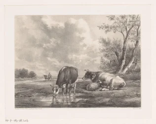 Duas vacas e ovelhas junto à água