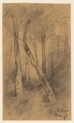 Paisagem da floresta em Wolfheze