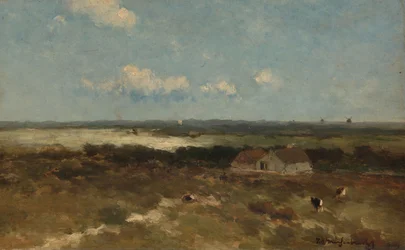 Paisagem dunar