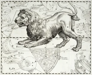 Leão, constelação zodiacal do Leão, ilustração retirada do atlas estelar Firmamentum Sobiescianum sive Uranographia de Johannes Hevelius (1611-1687), Gdansk