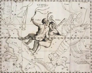 A constelação de Gêmeos, ilustração de Firmamentum Sobiescianum sive Uranographia, de Johann Hevelius (1611-1687), Gdansk 1690