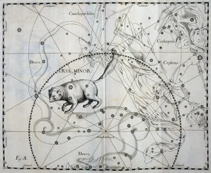 Ursa Minor, constelação boreal da Ursa Minor, gravura de atlas celeste Firmamentum Sobiescianum sive Uronographia, de Johann Hevelius (1611-1687), Gdansk