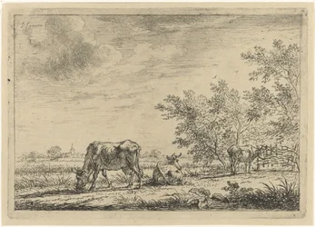 Três vacas em um prado