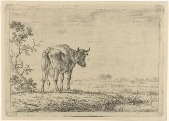 Vaca no pasto