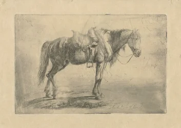 Cavalo selado à direita