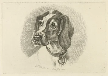 Cabeça de cão com coleira de anel
