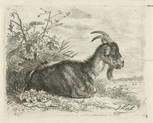 Corço recortado