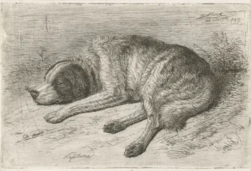 Cão adormecido à esquerda
Neptuno (título sobre o objecto)