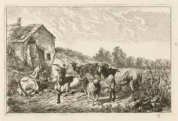 Quatro cabras e uma ovelha por uma casa