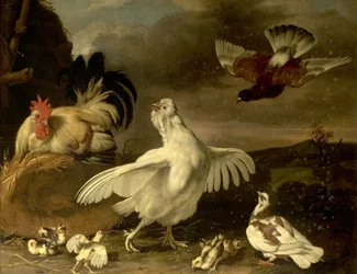 Galo e galinha com pintainhos e pombos