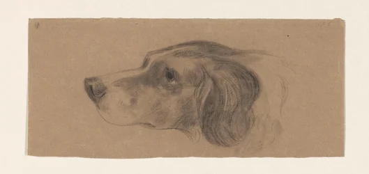 Cabeça de um cão, à esquerda