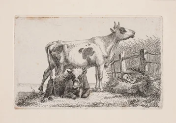 Uma vaca em repouso e uma vaca em pé