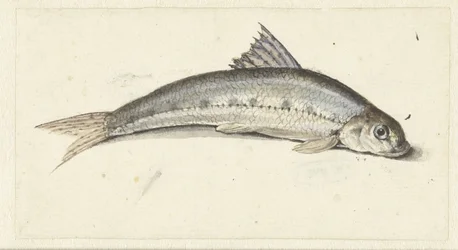 gôndola