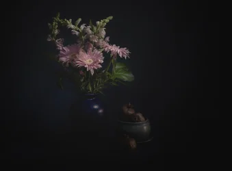 Natureza morta floral sombria